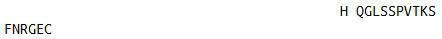 OVA Conjugated Immunoglobulin Kappa (Igk), RPU55072