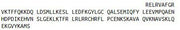 Recombinant Interleukin 10 (IL10), RPU55168