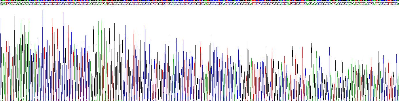 Figure . Gene Sequencing (extract)
