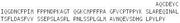 Recombinant Lactoperoxidase (LPO), RPU55201