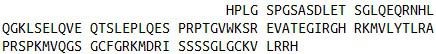 Recombinant Natriuretic Peptide Precursor B (NPPB), RPU55214