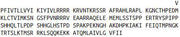 Recombinant Dopamine Receptor D2 (DRD2), RPU55241