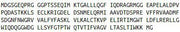 Recombinant Bcl2 Associated X Protein (Bax), RPU55279