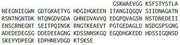 Recombinant Dentin Sialophosphoprotein (DSPP), RPU55327
