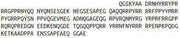 Recombinant Y-Box Binding Protein 1 (YBX1), RPU55332