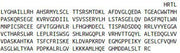 Recombinant Ryanodine Receptor 1, Skeletal (RYR1), RPU55338