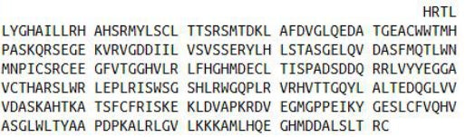 Recombinant Ryanodine Receptor 1, Skeletal (RYR1), RPU55338