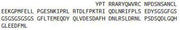 Recombinant Serglycin (SRGN), RPU55341