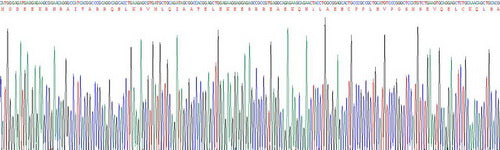 Recombinant Human Troponin I Type 2, Fast Skeletal (TNNI2)