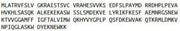 Recombinant Cytochrome C Oxidase Subunit IV Isoform 1 (COX4I1), RPU55354
