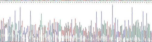 Recombinant Human Chymase 1, Mast Cell (CMA1)