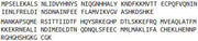 Recombinant Calprotectin (CALPRO), RPU55396