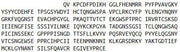 Recombinant Complement Factor H Related Protein 3 (CFHR3), RPU55400