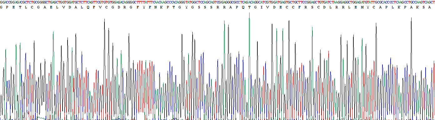 Figure . Gene Sequencing (Extract)