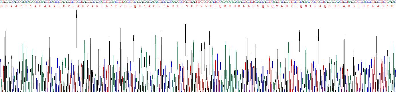 Figure . Gene Sequencing (Extract)