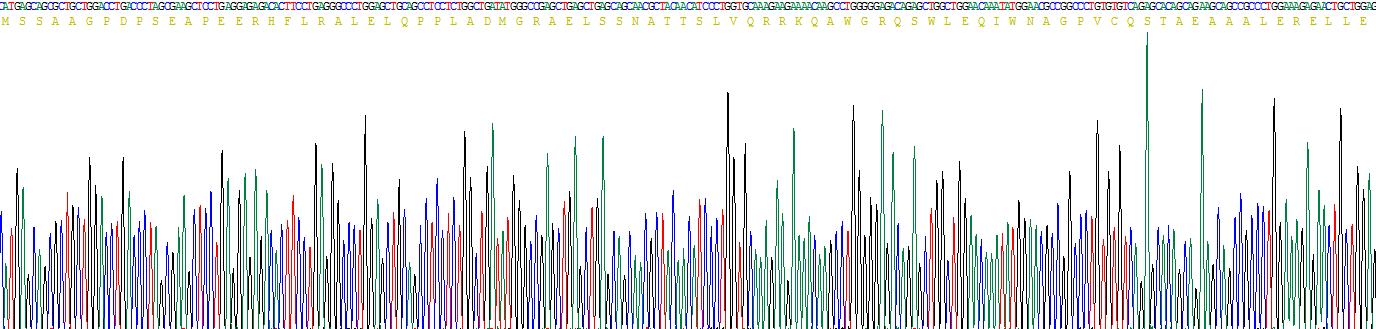 Figure . Gene Sequencing (Extract)
