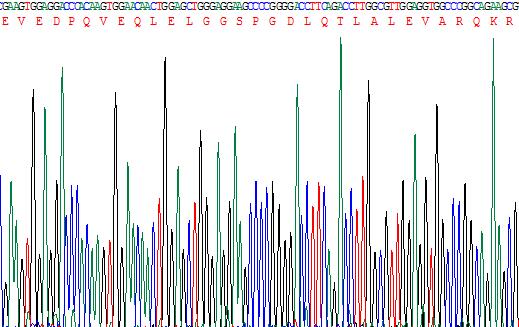 Figure . Gene Sequencing (Extract)