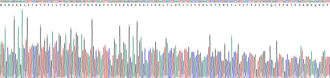 Figure . Gene Sequencing (Extract)