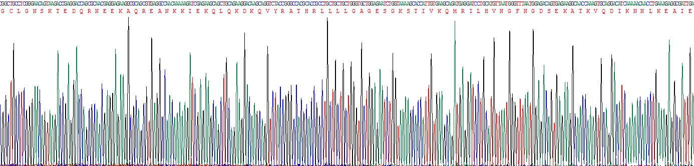 Figure . Gene Sequencing (Extract)