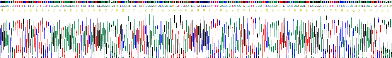 Figure . Gene Sequencing (Extract)