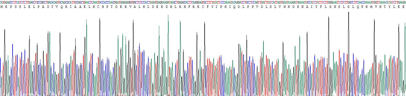 Figure . Gene Sequencing (Extract)