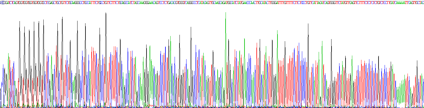 Figure . Gene Sequencing (Extract)