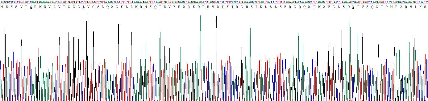 Figure . Gene Sequencing (Extract)