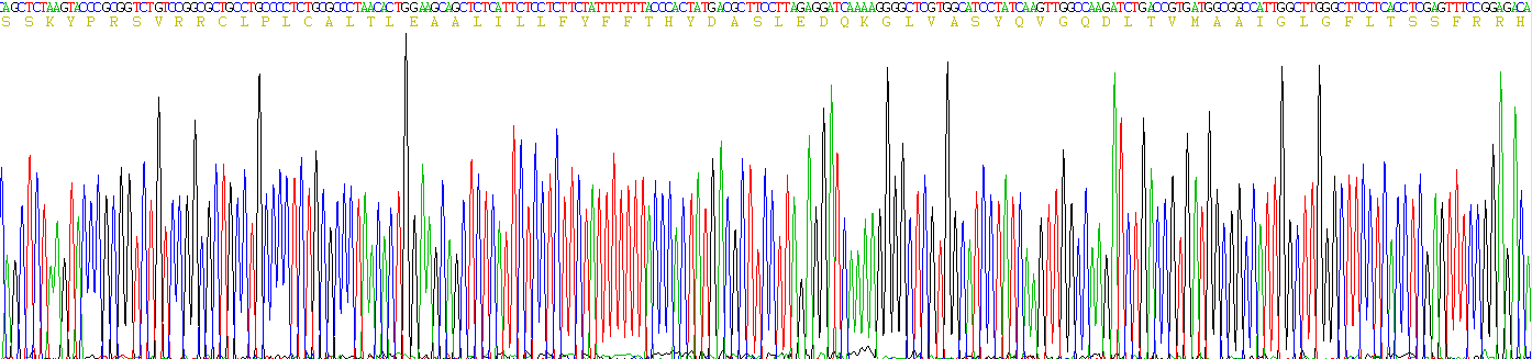 Figure . Gene Sequencing (Extract)