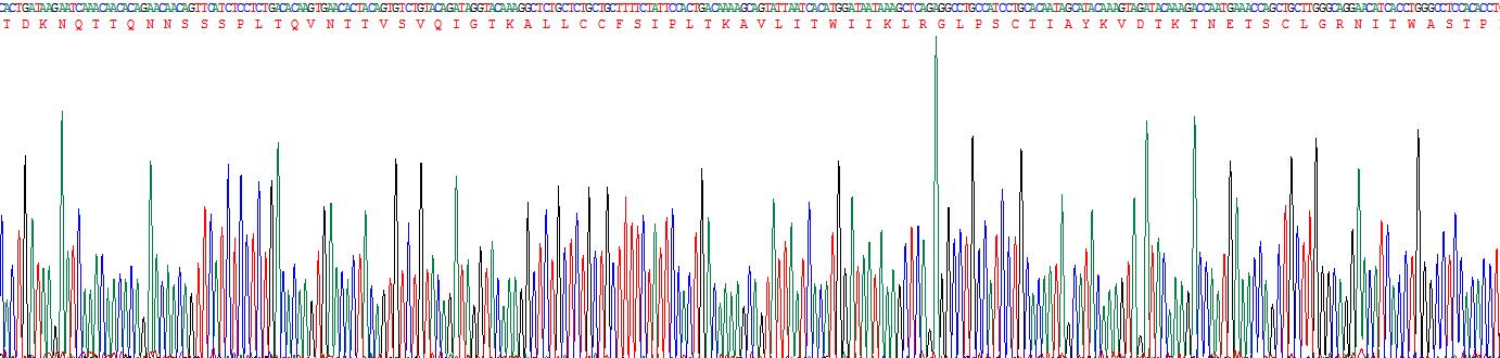 Figure . Gene Sequencing (Extract)