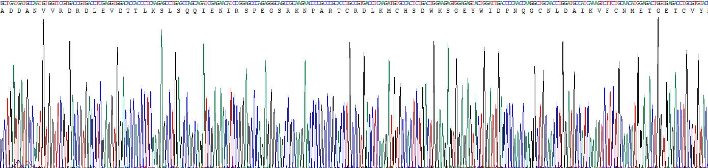 Figure . Gene Sequencing (Extract)