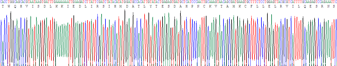 Figure . Gene Sequencing (Extract)
