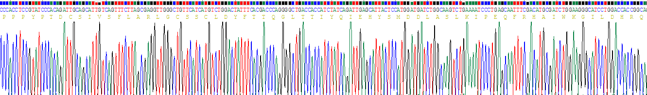Figure . Gene Sequencing (Extract)