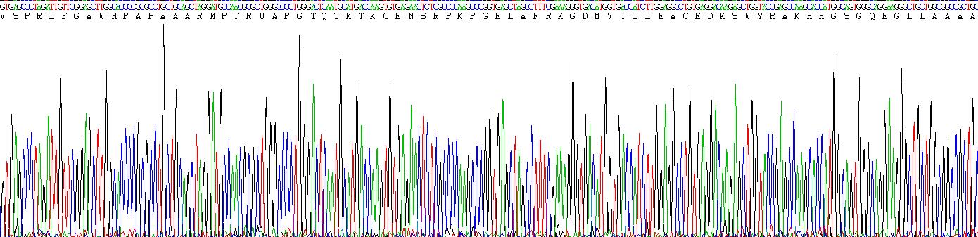 Figure . Gene Sequencing (Extract)
