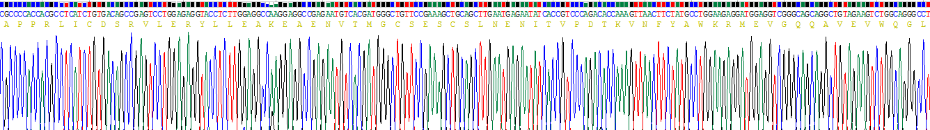 Figure . Gene Sequencing (Extract)
