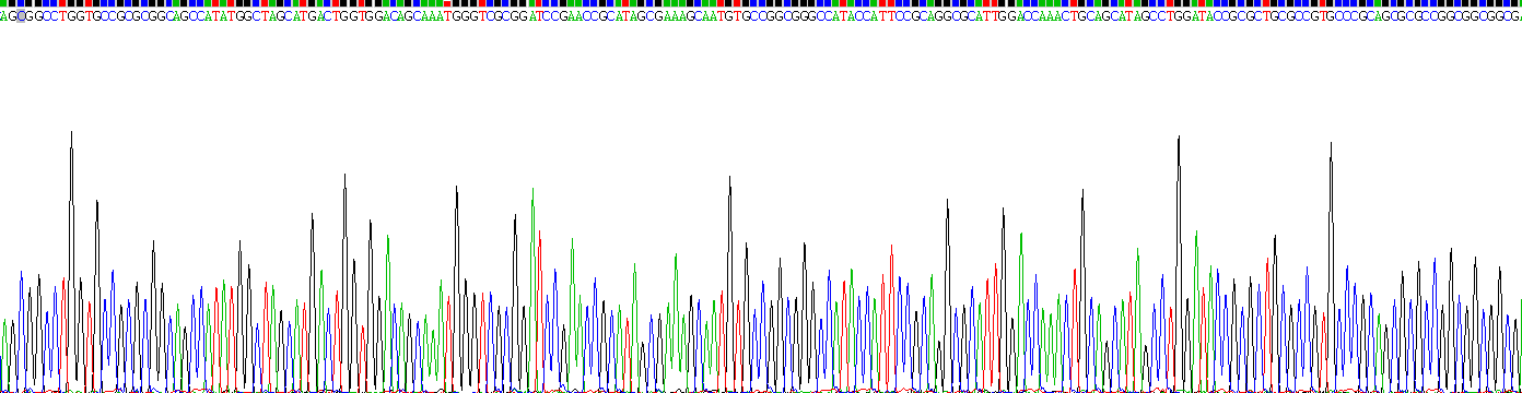 Figure . Gene Sequencing (Extract)