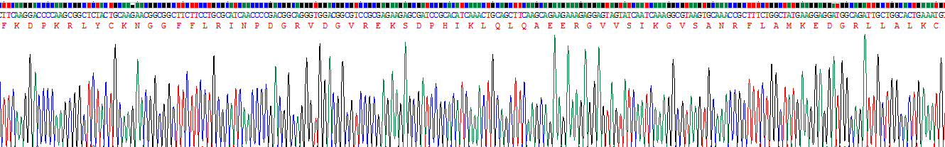 Figure . Gene Sequencing (Extract)