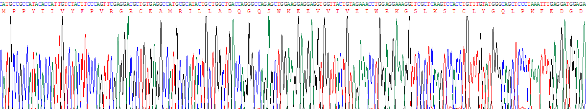 Figure . Gene Sequencing (Extract)