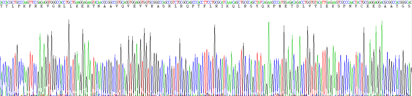 Figure . Gene Sequencing (Extract)