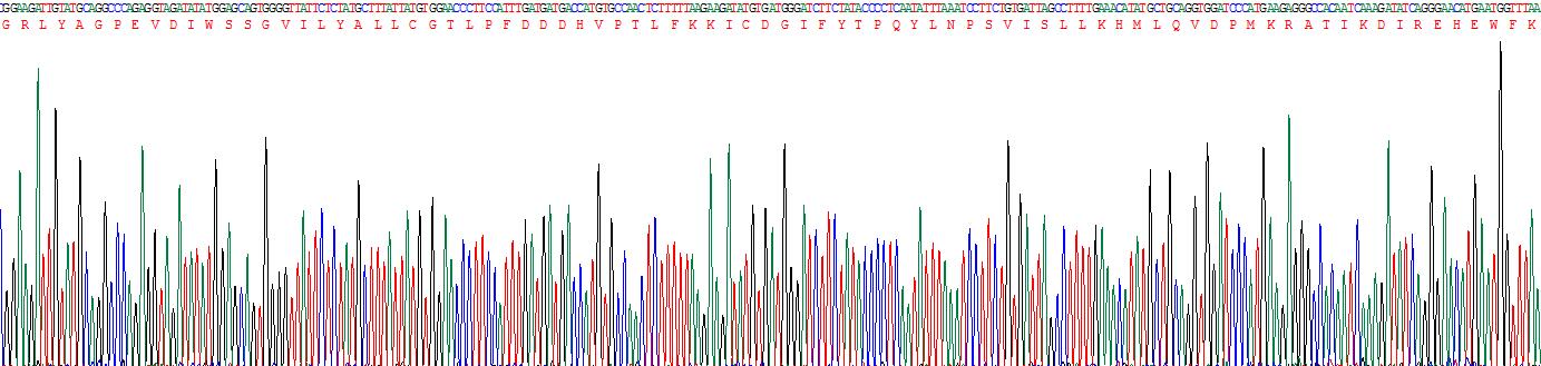 Figure . Gene Sequencing (Extract)