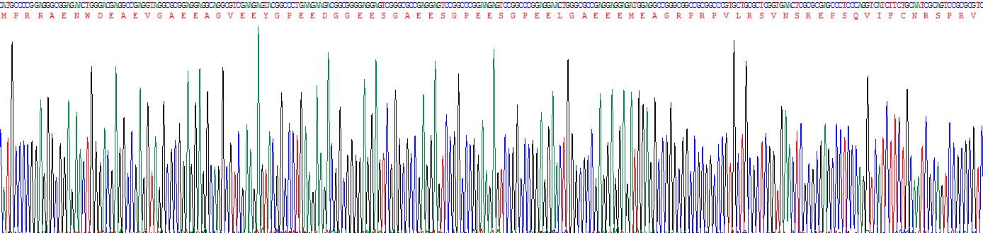 Figure . Gene Sequencing (Extract)