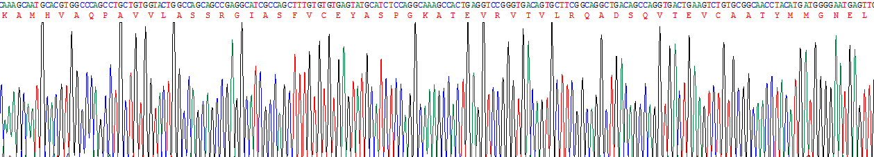 Figure . Gene Sequencing (Extract)