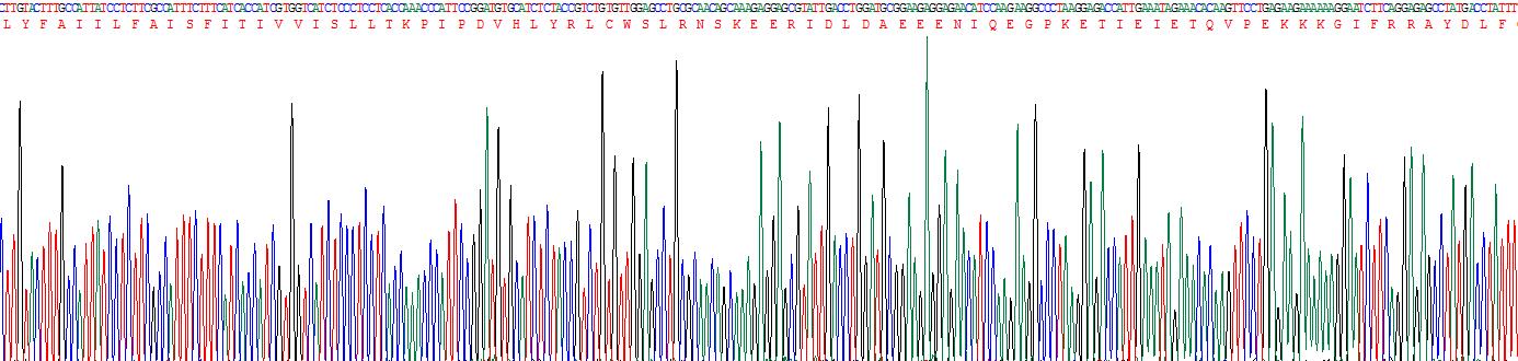 Figure . Gene Sequencing (Extract)