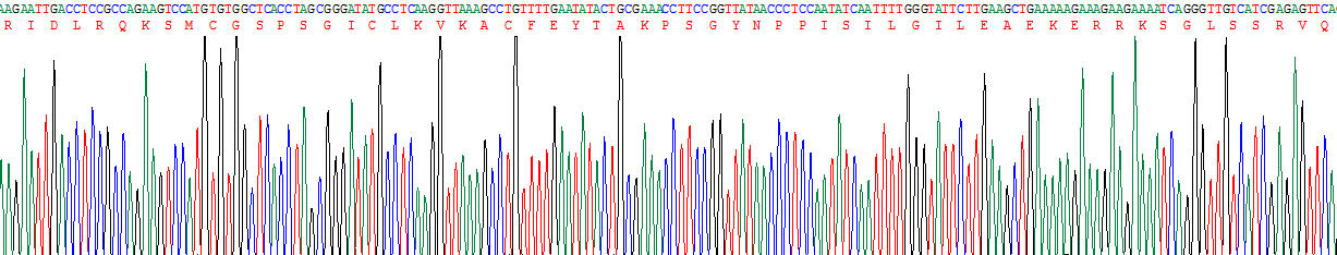 Figure . Gene Sequencing (Extract)