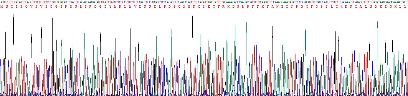 Figure . Gene Sequencing (Extract)