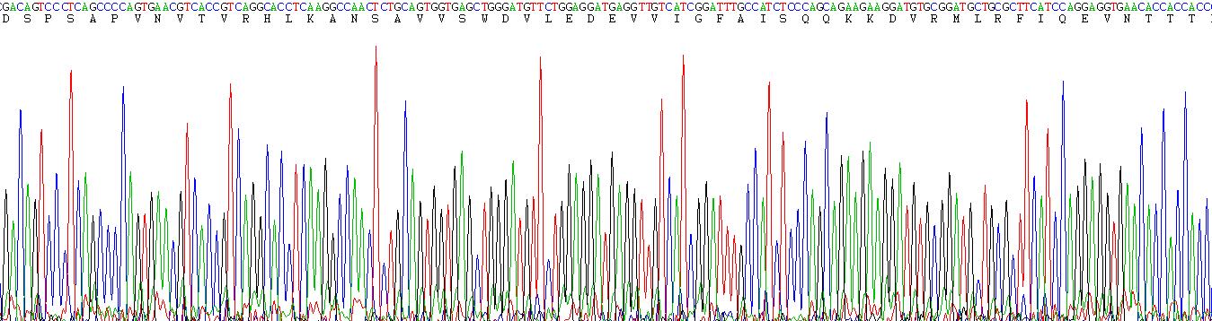 Figure . Gene Sequencing (Extract)