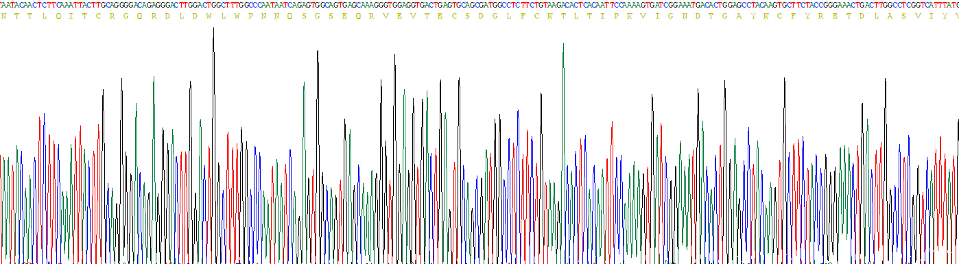 Figure . Gene Sequencing (Extract)