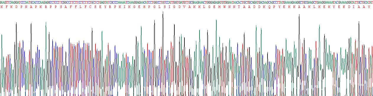 Figure . Gene Sequencing (Extract)