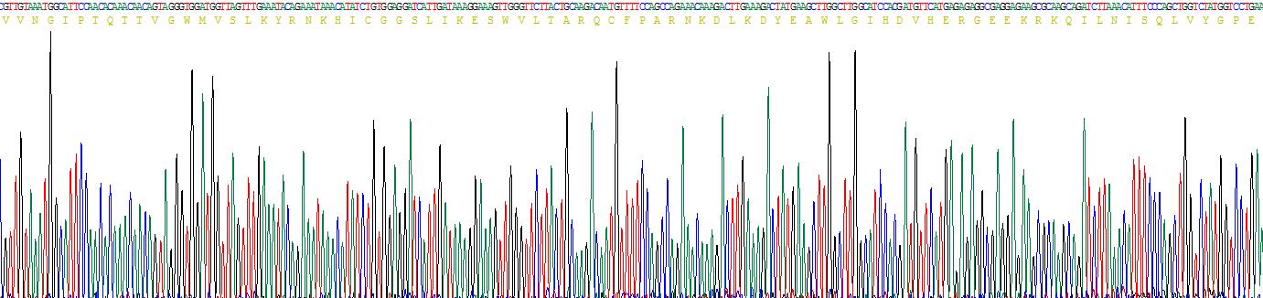 Figure . Gene Sequencing (Extract)