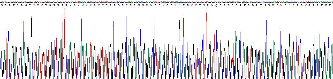 Figure . Gene Sequencing (Extract)