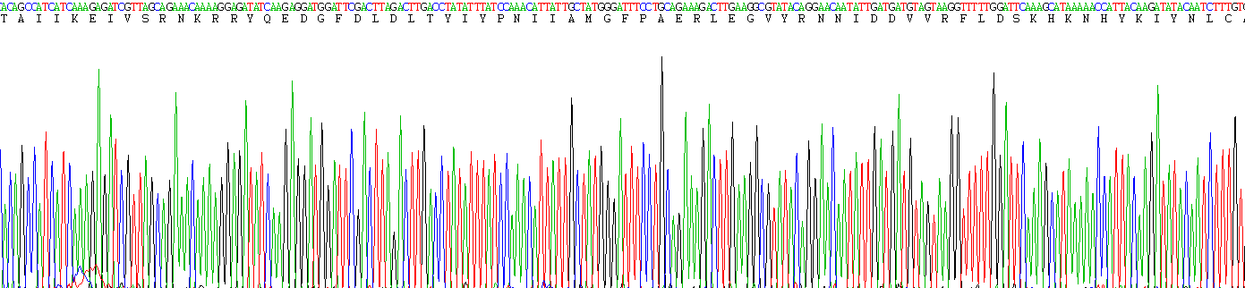 Figure . Gene Sequencing (Extract)